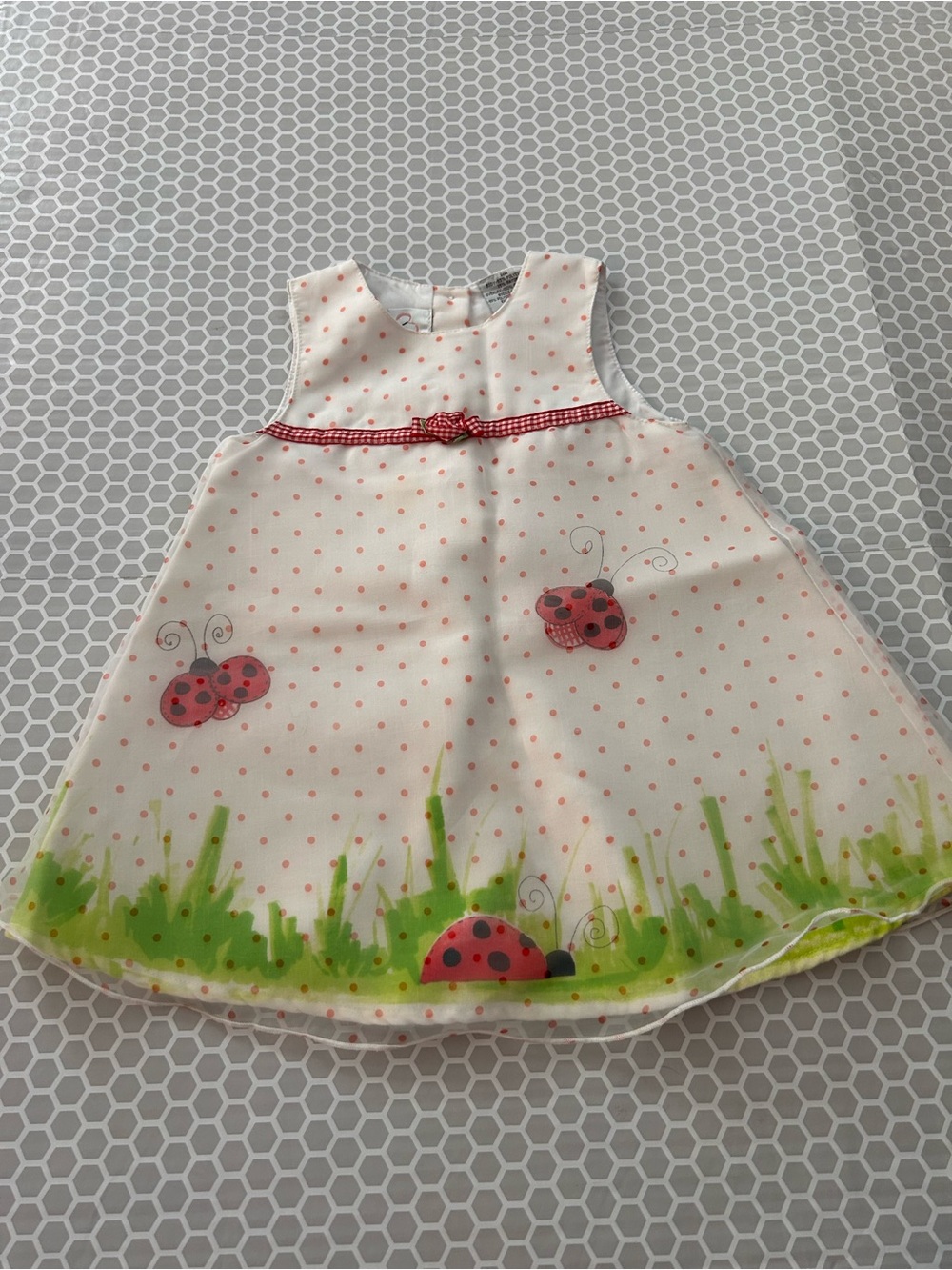 Youngland White Dress with Red Ladybug & Green Grass Accents Sheer Overlay. 24M